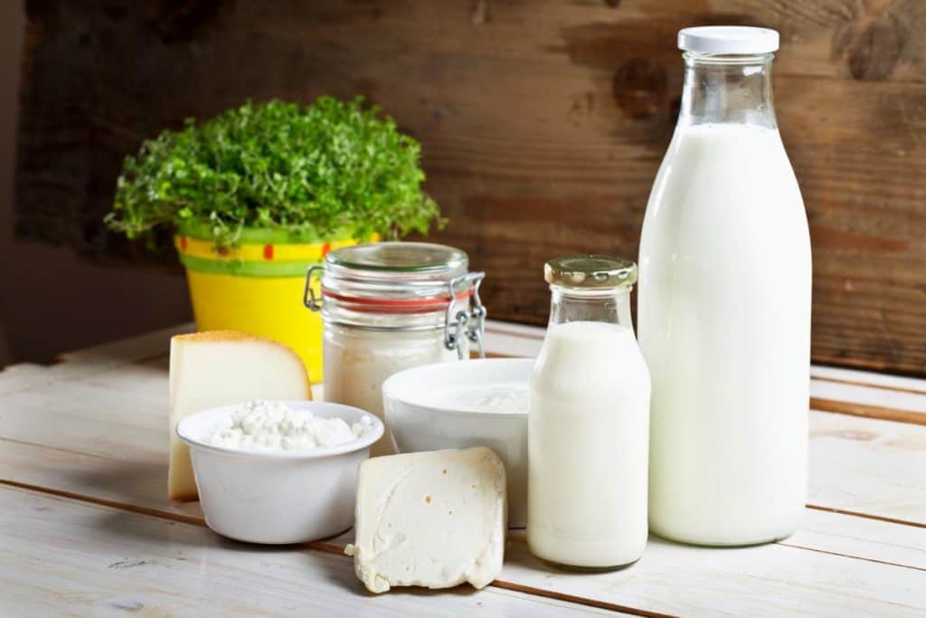Sütün Besin Değerleri | Sağlık Fit